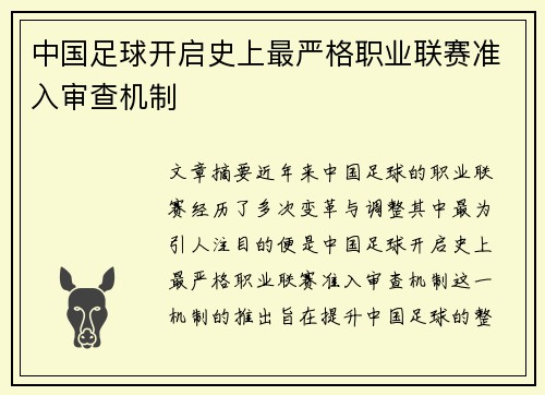 中国足球开启史上最严格职业联赛准入审查机制 中国足球开启史上最严格职业联赛准入审查机制